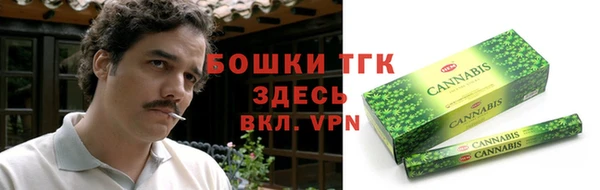 дмт Инта