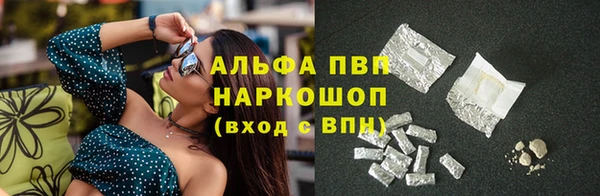 дмт Инта