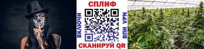Канабис VHQ Данков