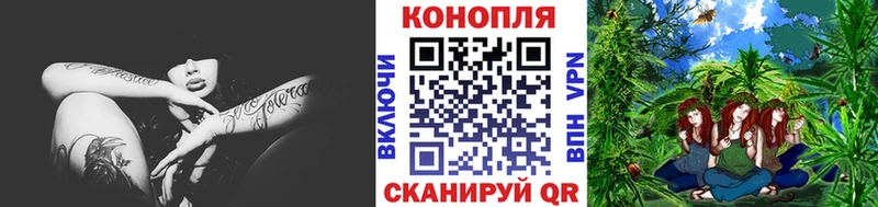 Купить где  Данков  МАРИХУАНА тримм 